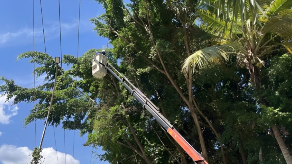 CORPOELEC despliega control de vegetación en seis municipios aragüeños