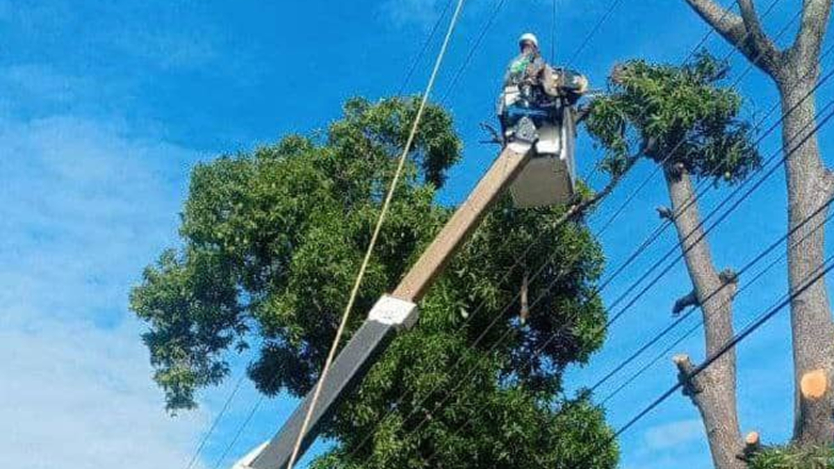 Corpoelec continúa jornada de control de vegetación en nueve municipios de Aragua