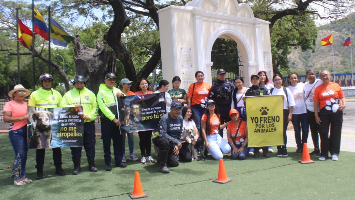 Mariño impulsa adopción responsable y campaña para proteger a los animales en las vías 