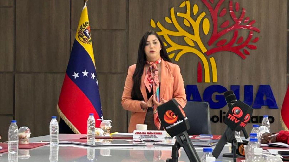 Gobierno de Aragua informó detalles sobre el plan de administración de carga eléctrica